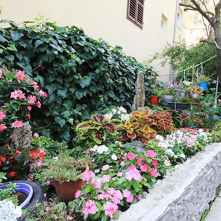 Norah Apartmán Podgora (Split-Dalmatia)